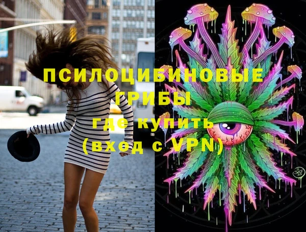 сатива Богородск