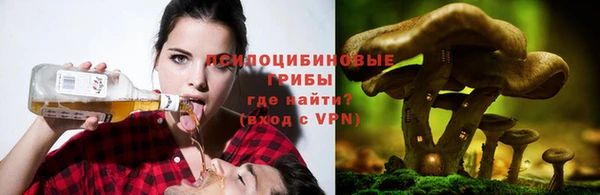 ПСИЛОЦИБИНОВЫЕ ГРИБЫ Богородицк