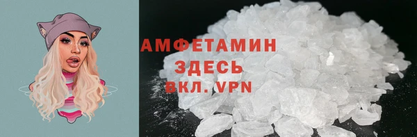 гашик Богданович