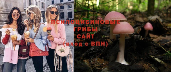 гашик Богданович