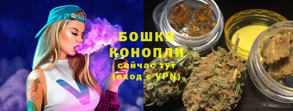 гашик Богданович
