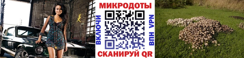 мориарти состав  хочу наркоту  Петропавловск-Камчатский  Псилоцибиновые грибы Psilocybine cubensis  omg как войти 