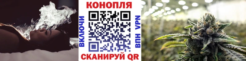 Канабис тримм  купить закладку  Петропавловск-Камчатский 